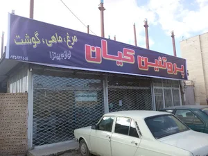 پروتئین کیان کوهجانی