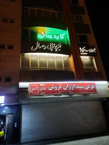 کاردرمانی ققنوس کمالی فر