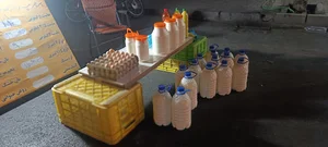 لبنیات گلپایگان
