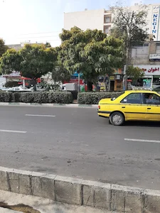 فروشگاه ترازو سنجش البرز