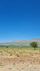 باغ اکبری