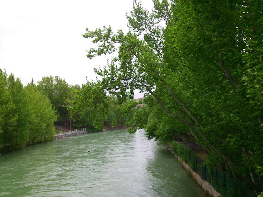پارک ساحلی سعید آباد