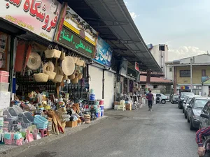 موسسه کشاورزی دشت سبز ساری