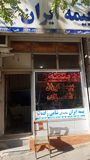 بیمه ایران شامی زاده