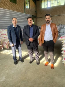 هامون بسپار