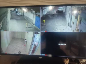 سوئیت پیرباوفا 2
