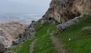 دهرم