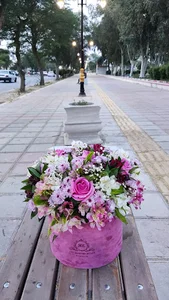 محل اسکان مسافران نوروزی