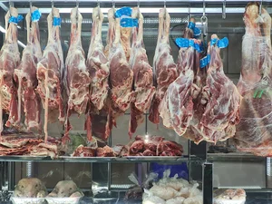 آقای گوشت