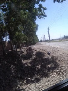 مرغداری پرطلایی