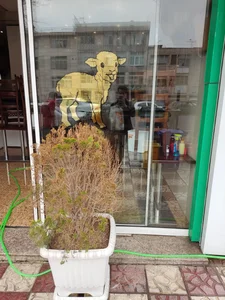 طباخی بره کوچولو 3