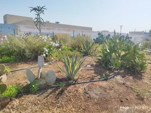 بوستان بزرگ آزادشهر