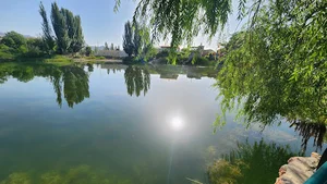 دریاچه(بند)طرق رود