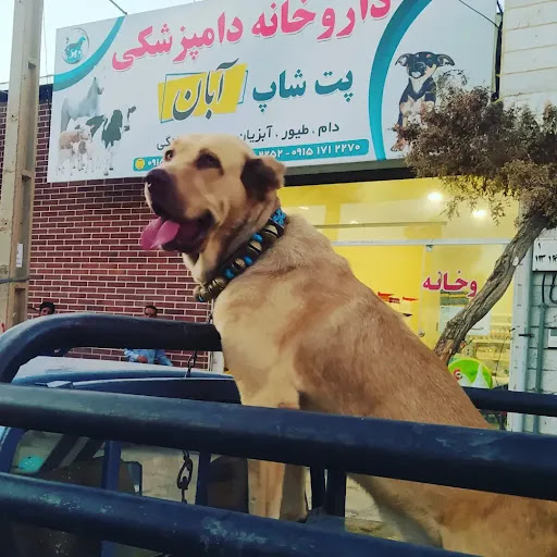 داروخانه آبان