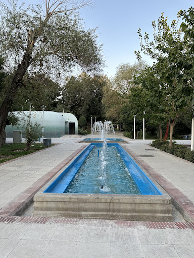 سرویس بهداشتی