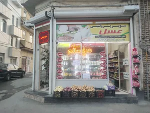 فروشگاه  مرغ و پروتئین عسل 2