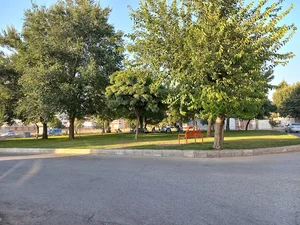 میدان نوروز