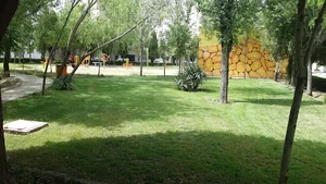 خیبان مصطفی خمینی