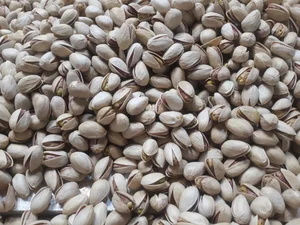 آجیل و خشکبار باستان 5