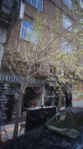 کفش فروشی 2