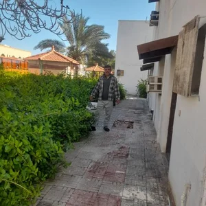 هتل المپیک قشم