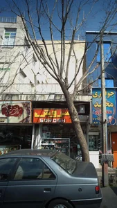 سروش