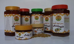 شهدیسان