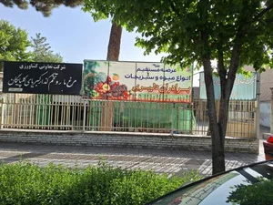 میوه و سبزی فروشی برادران دلیری 2