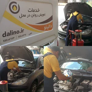 دالینو 3