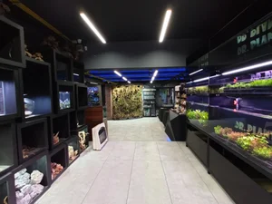 فروشگاه دکتر پلنت 2
