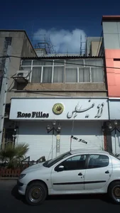رز فیلس 2