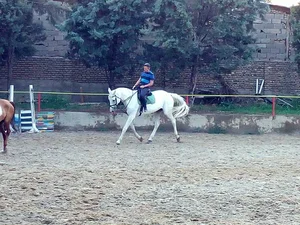 باشگاه سوارکاری سوارکاران غرب 2