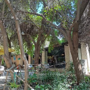 رستوران ساحلی سنتی 5