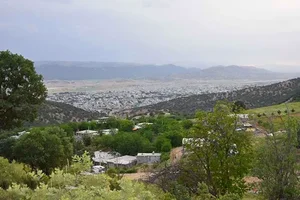 آرایشگاه کارول