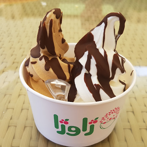 Javoja Frozen Yogurt