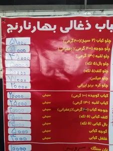 کباب ذغالی بهار نارنج 2