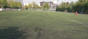 زمین چمن فوتبال