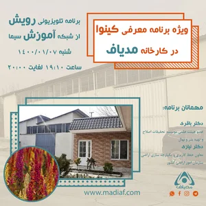 شرکت مدیاف