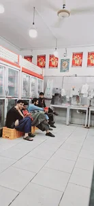 مرغ کشتار روز دانه چین یزد