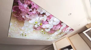 سقف کشسان لابل_حیدری