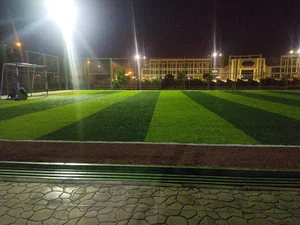 زمین چمن مصنوعی