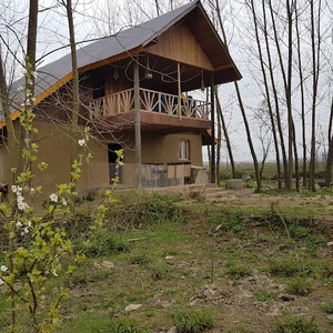 کلبه مردابی سپنتا
