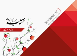 seeb graphic agency