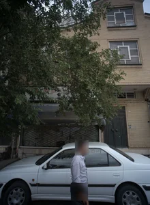 فروشگاه سبزی خرد کنی