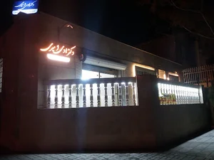 دکتر هادی امیری