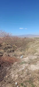 گاوداری۲۰۰راسی وتاکستان بابایی