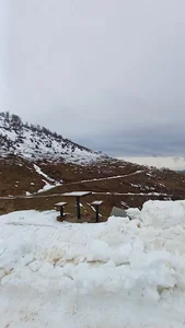 کافه خوشهالی علی نصیری