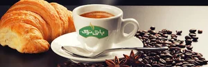 آمیتیس البرز آریانا