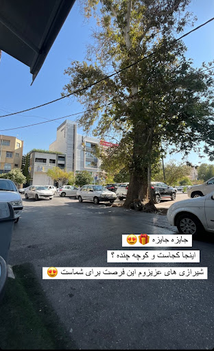رستوران و بیرون بر فرهنگ