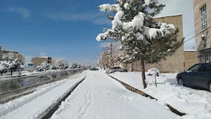 شریف اباد ابهر
